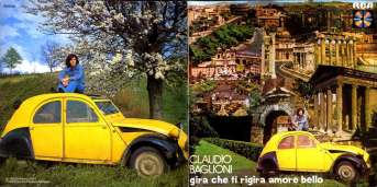 Copertina superiore